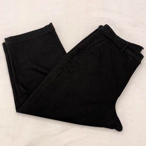 Everlane Cropped Straight Leg Black High Rise Jeans Stretch Sz 20 Short Plus